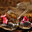Vaso de flores hidropônico em forma de cisne, vidro transparente, decoração de casa, presentes de feriado, casamento