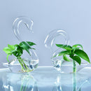 Vaso de flores hidropônico em forma de cisne, vidro transparente, decoração de casa, presentes de feriado, casamento