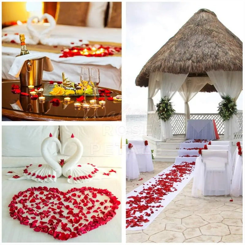Decoração dos Sonhos - Pétalas de Seda Luxuosas