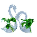 Vaso de flores hidropônico em forma de cisne, vidro transparente, decoração de casa, presentes de feriado, casamento
