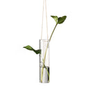 Criativo Pendurado Vaso De Vidro, Hidroponia Vasos De Plantas, Vaso De Flores, Recipiente De Terrário, Festa, Casamento, Decoração Para Casa, Fontes De Jardim