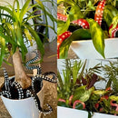 Sea Monster Octopus Tentacles 7-piece Set, Decorative Flower Pot, Home Gift Christmas