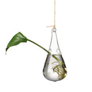 Criativo Pendurado Vaso De Vidro, Hidroponia Vasos De Plantas, Vaso De Flores, Recipiente De Terrário, Festa, Casamento, Decoração Para Casa, Fontes De Jardim